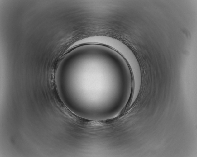 X0000113150528200909041236