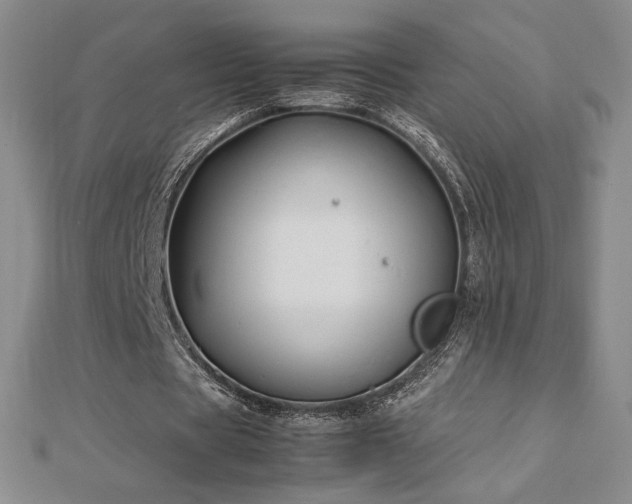 X0000113150529200909041235