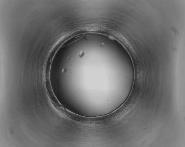 X0000113150530200909041235