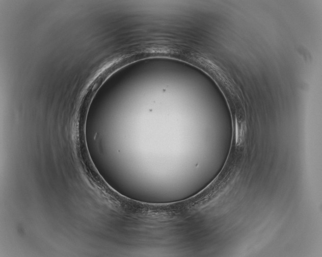 X0000113150531200909041235