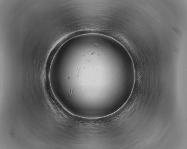 X0000113150532200909041235