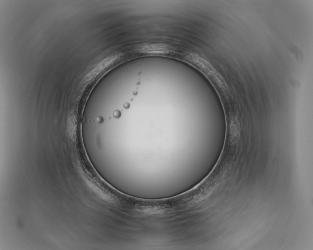 X0000113150533200909041235