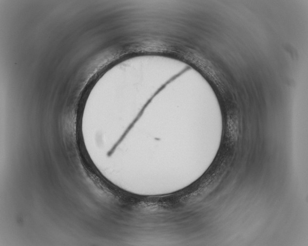 X0000113150534200909041235