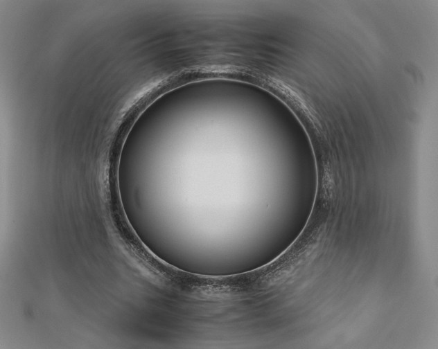 X0000113150535200909041235