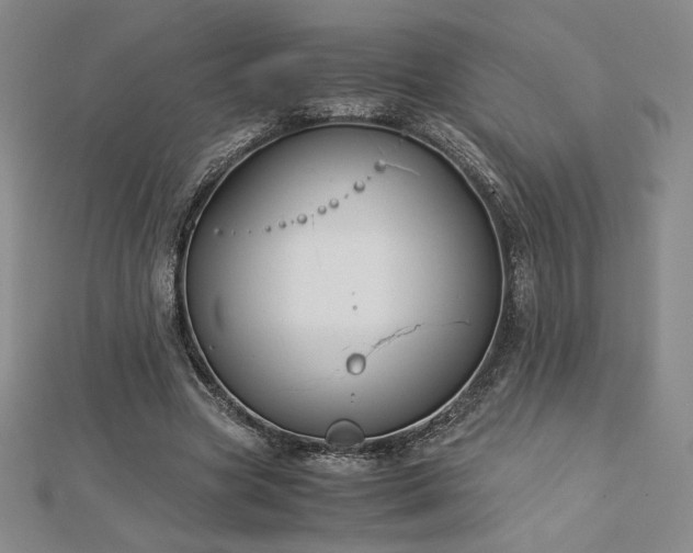 X0000113150537200909041235