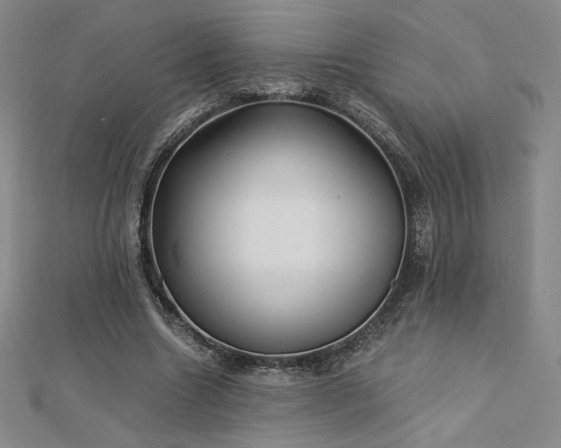 X0000113150538200909041235