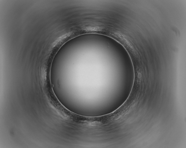 X0000113150539200909041235