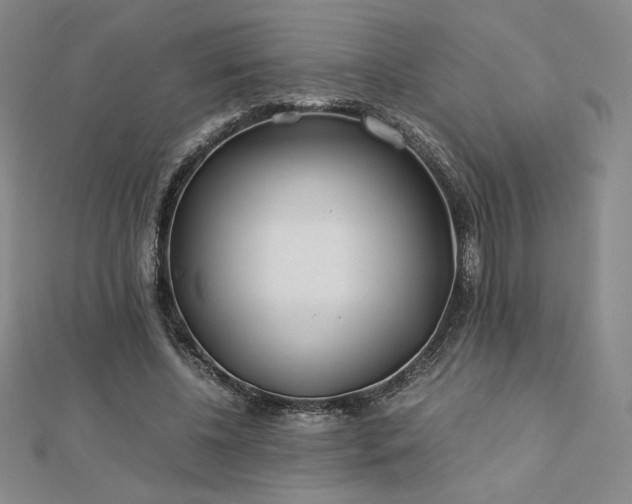 X0000113150540200909041236