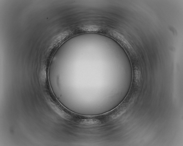 X0000113150541200909041236