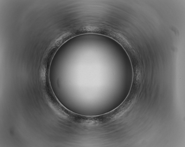 X0000113150542200909041236