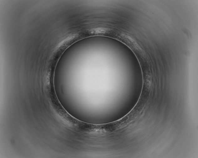 X0000113150543200909041236