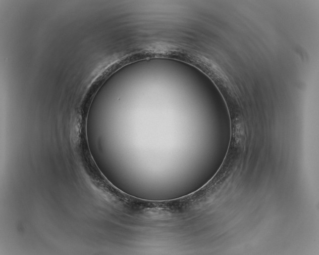 X0000113150544200909041236