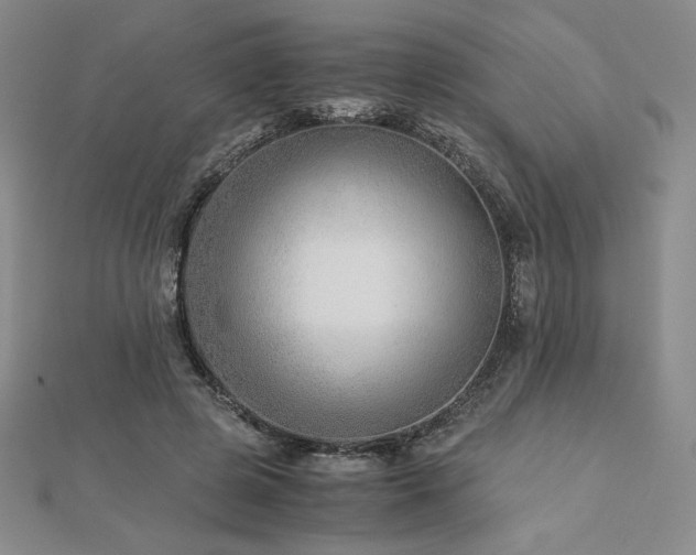 X0000113150545200909041236