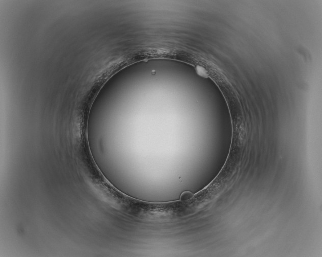 X0000113150546200909041236