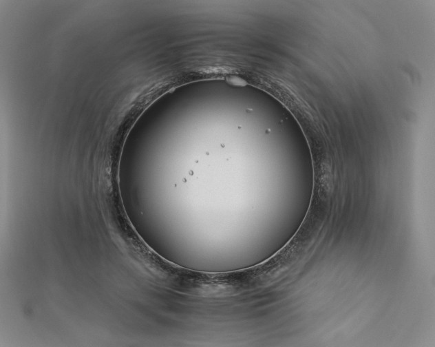 X0000113150547200909041236