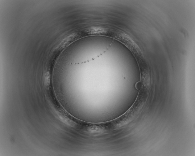 X0000113150549200909041236