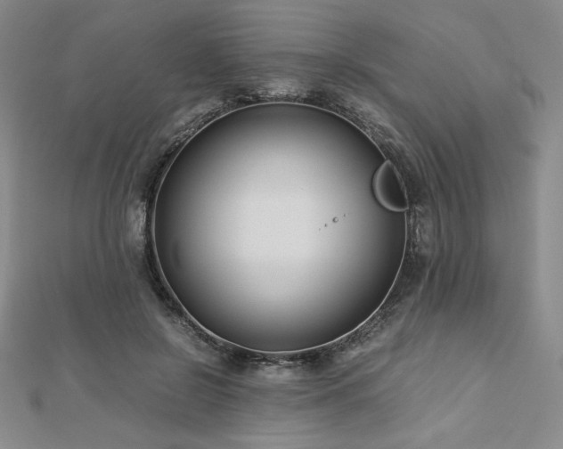 X0000113150550200909041236