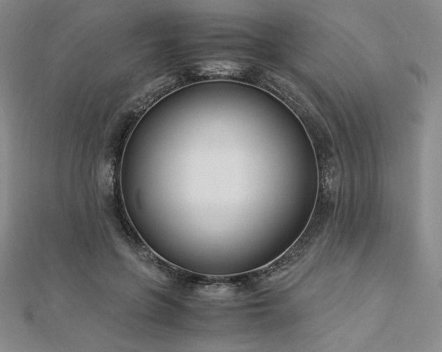 X0000113150551200909041236