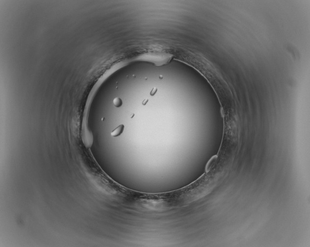 X0000113150552200909041236