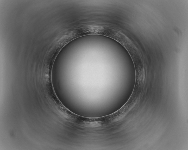 X0000113150553200909041236