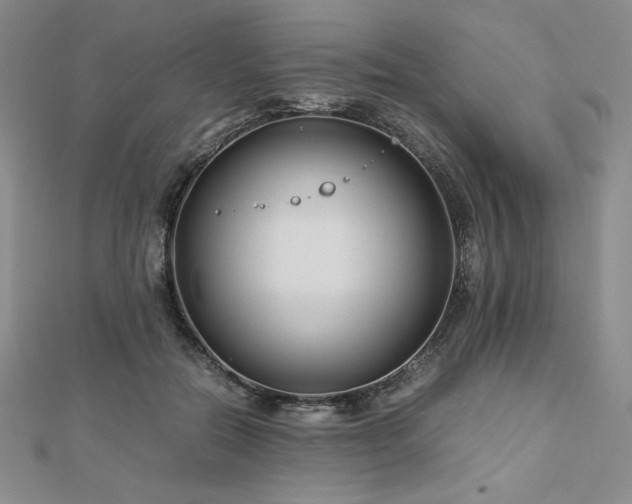 X0000113150554200909041236