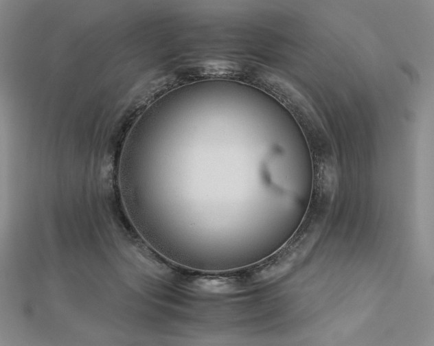 X0000113150557200909041236