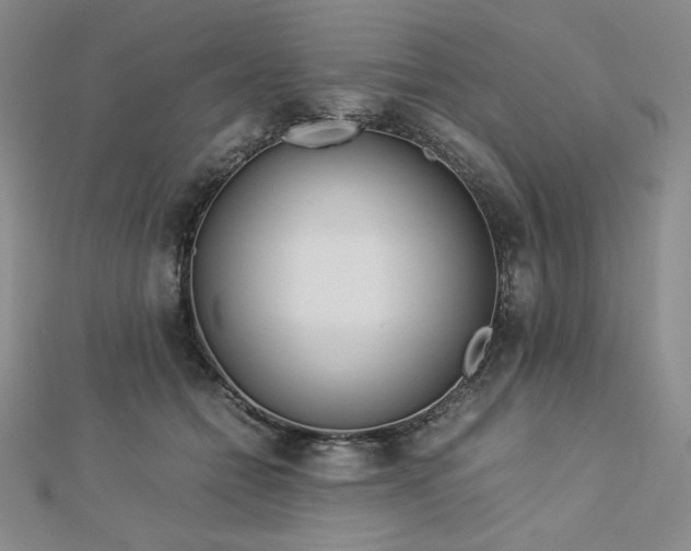 X0000113150558200909041236