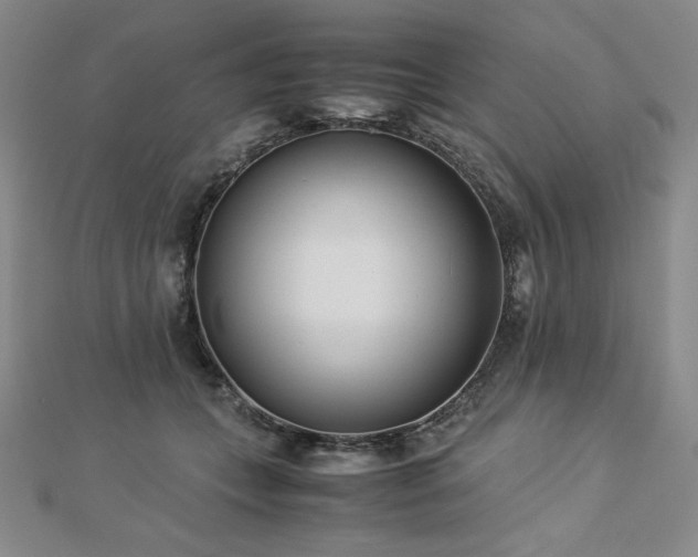 X0000113150559200909041236