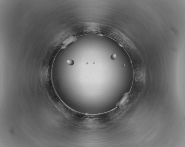 X0000113150560200909041236