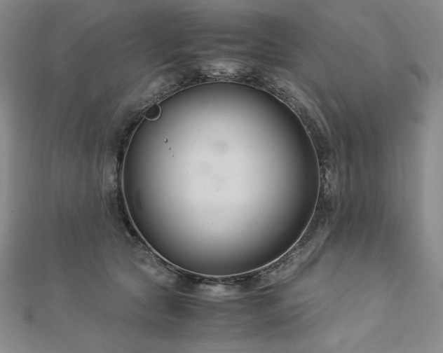 X0000113150561200909041236