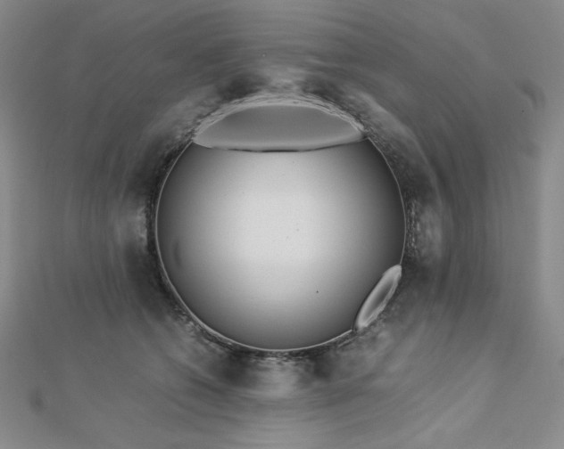 X0000113150562200909041236