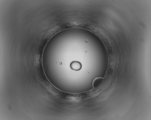 X0000113150563200909041236