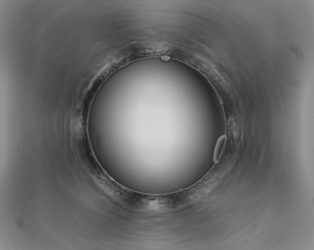 X0000113150564200909041236