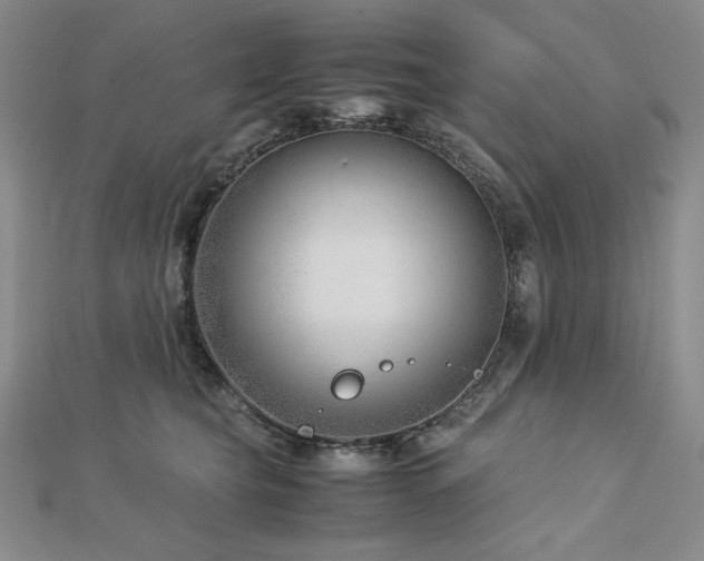 X0000113150565200909041236