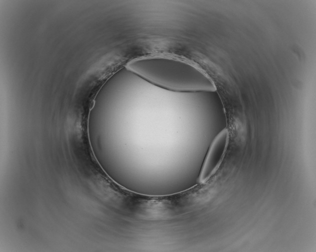 X0000113150566200909041236