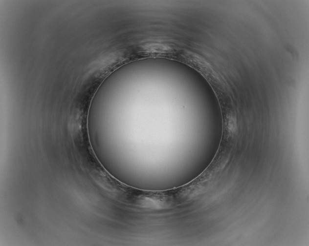 X0000113150567200909041236