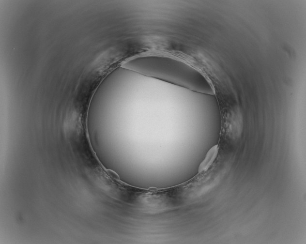 X0000113150568200909041236