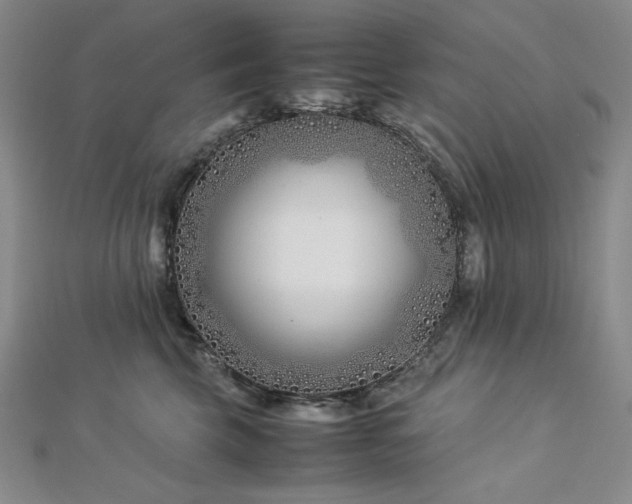 X0000113150569200909041236