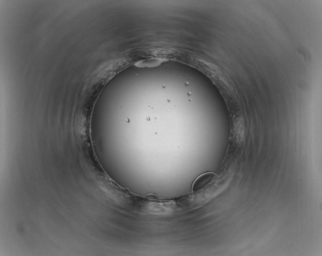 X0000113150571200909041236