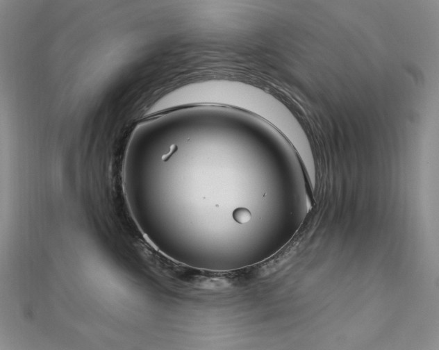 X0000113150572200909041236