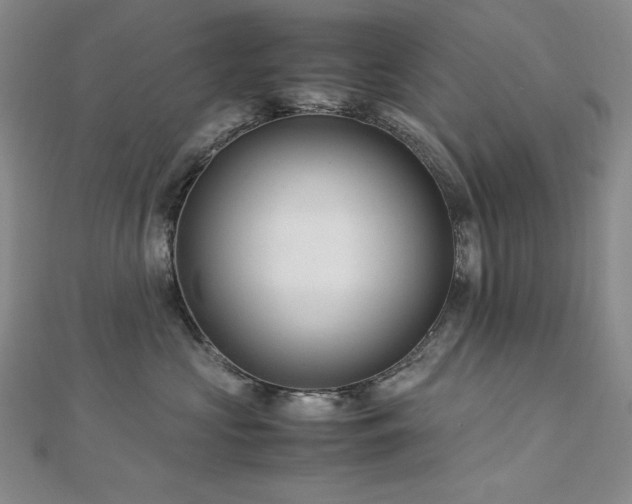 X0000113150573200909041236