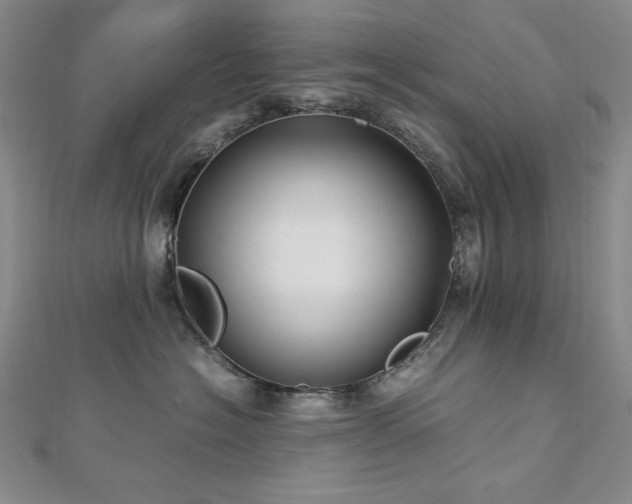 X0000113150574200909041236