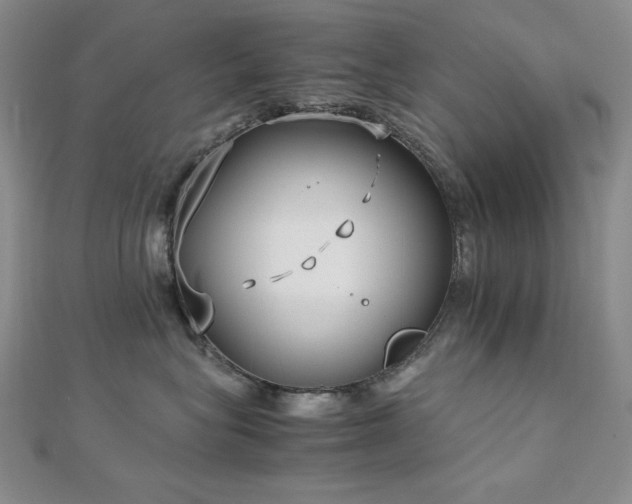 X0000113150575200909041236