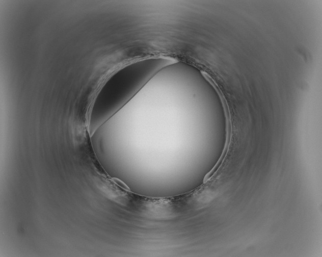 X0000113150576200909041236