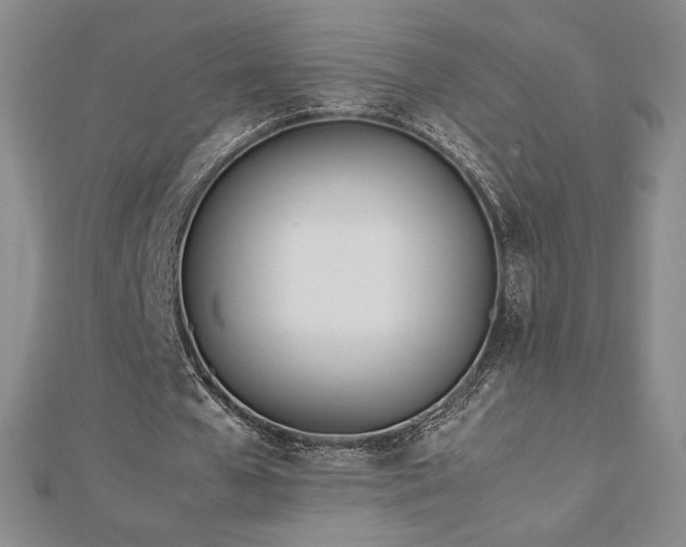 X0000113150577200909041235