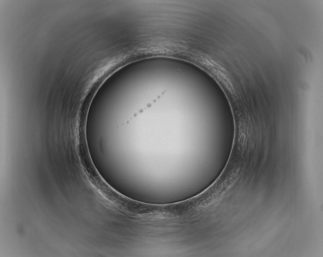 X0000113150578200909041235