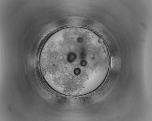 X0000113150579200909041235