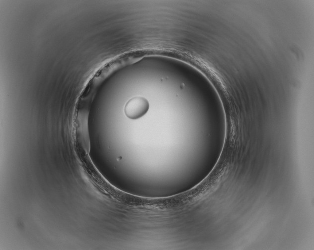 X0000113150580200909041235