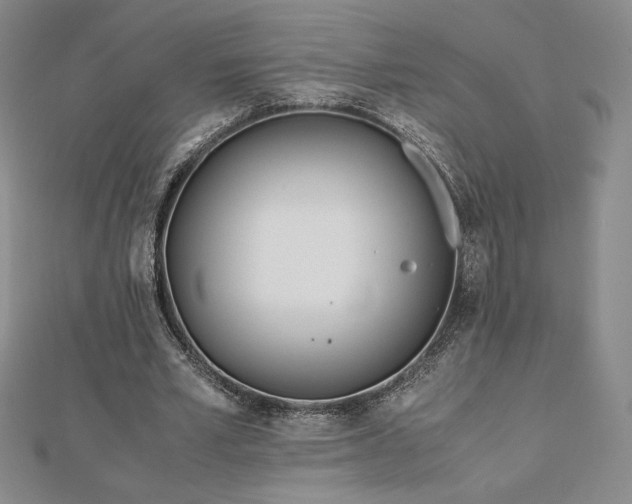 X0000113150581200909041235