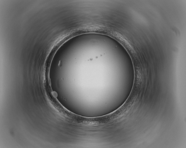 X0000113150582200909041235